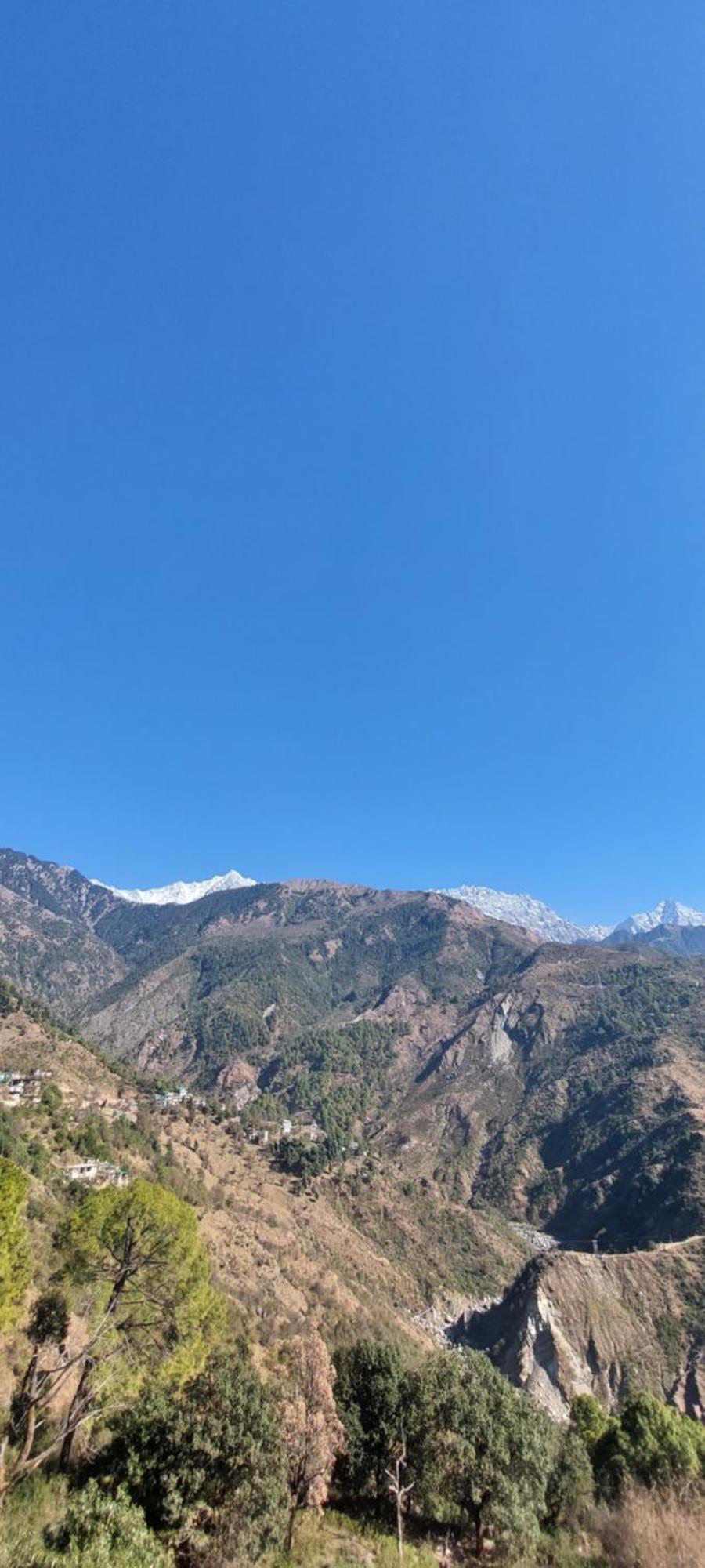 Готель Mountain Heaven Mcleodganj Дармсала Екстер'єр фото