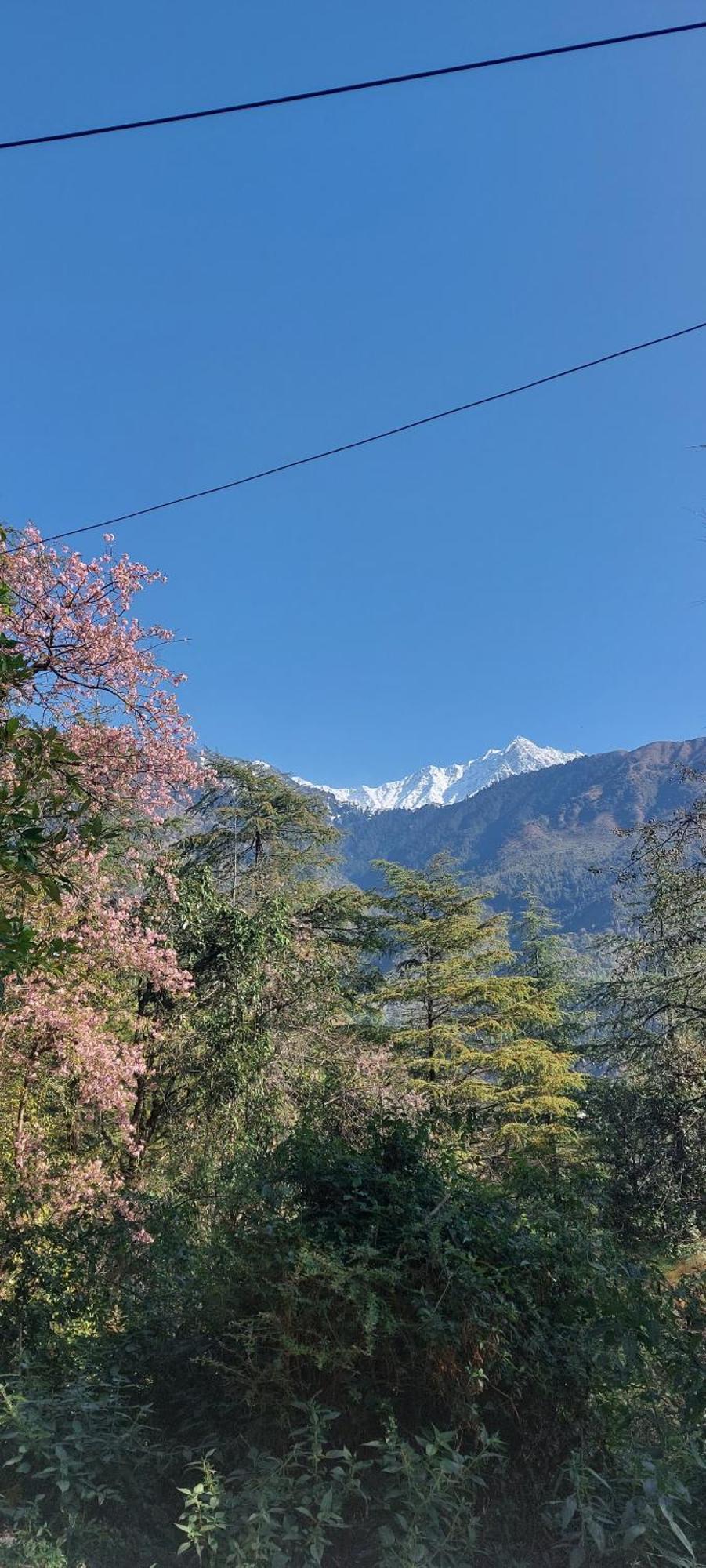 Готель Mountain Heaven Mcleodganj Дармсала Екстер'єр фото